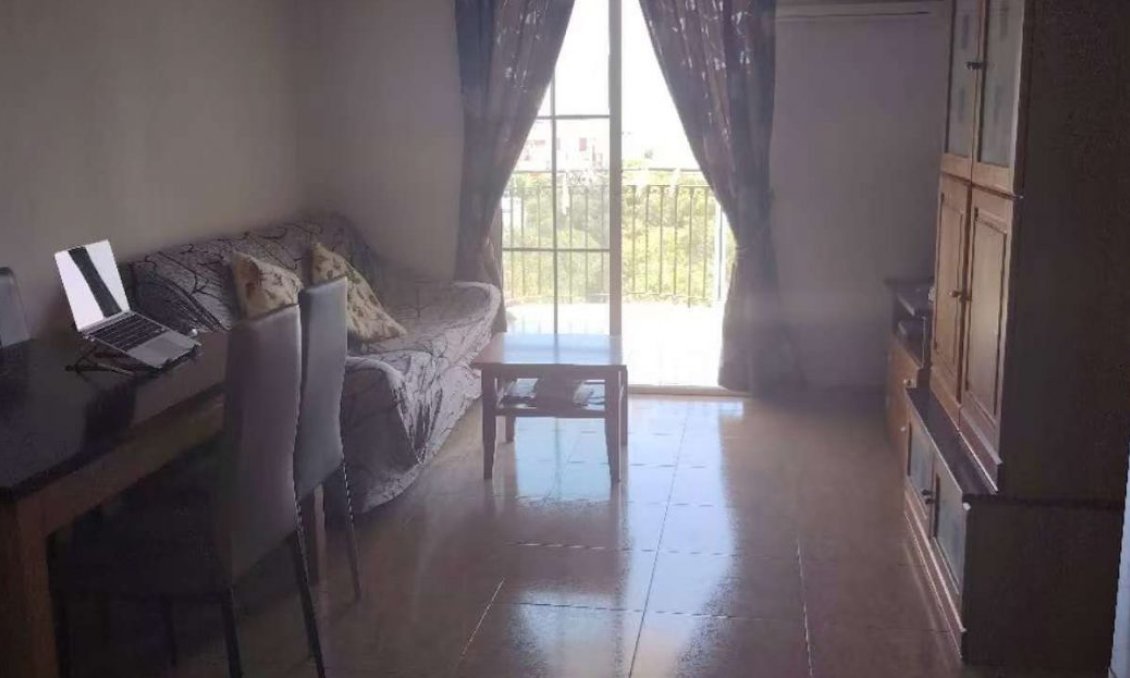 Használt Ingatlanok - Apartman -
Torrevieja - Costa Blanca