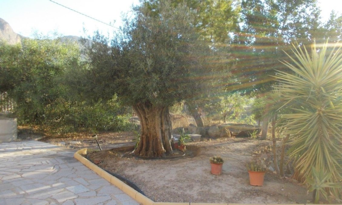 Segunda mano - Villa -
Orihuela - Inland