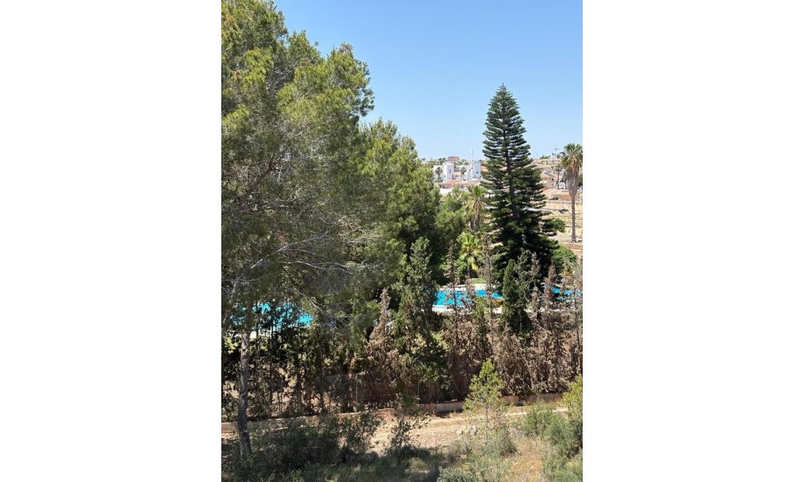 Segunda mano - Apartamento -
Doña Pepa - Inland