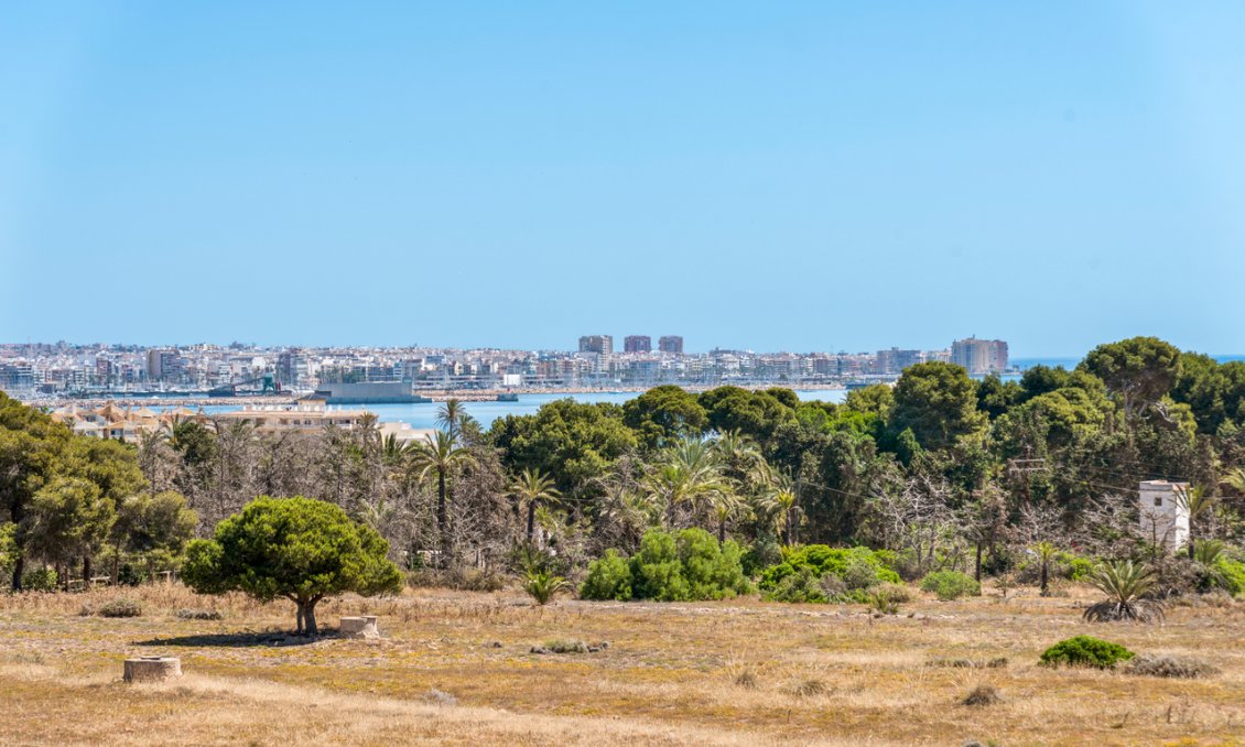 Segunda mano - Apartamento -
Punta Prima - Costa Blanca