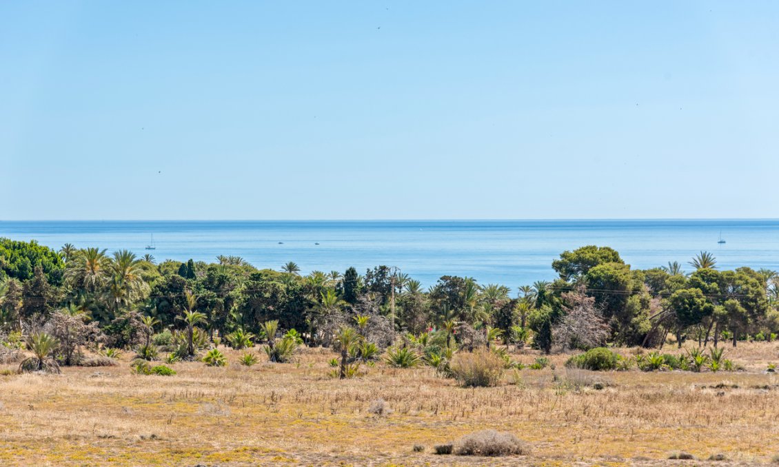 Segunda mano - Apartamento -
Punta Prima - Costa Blanca