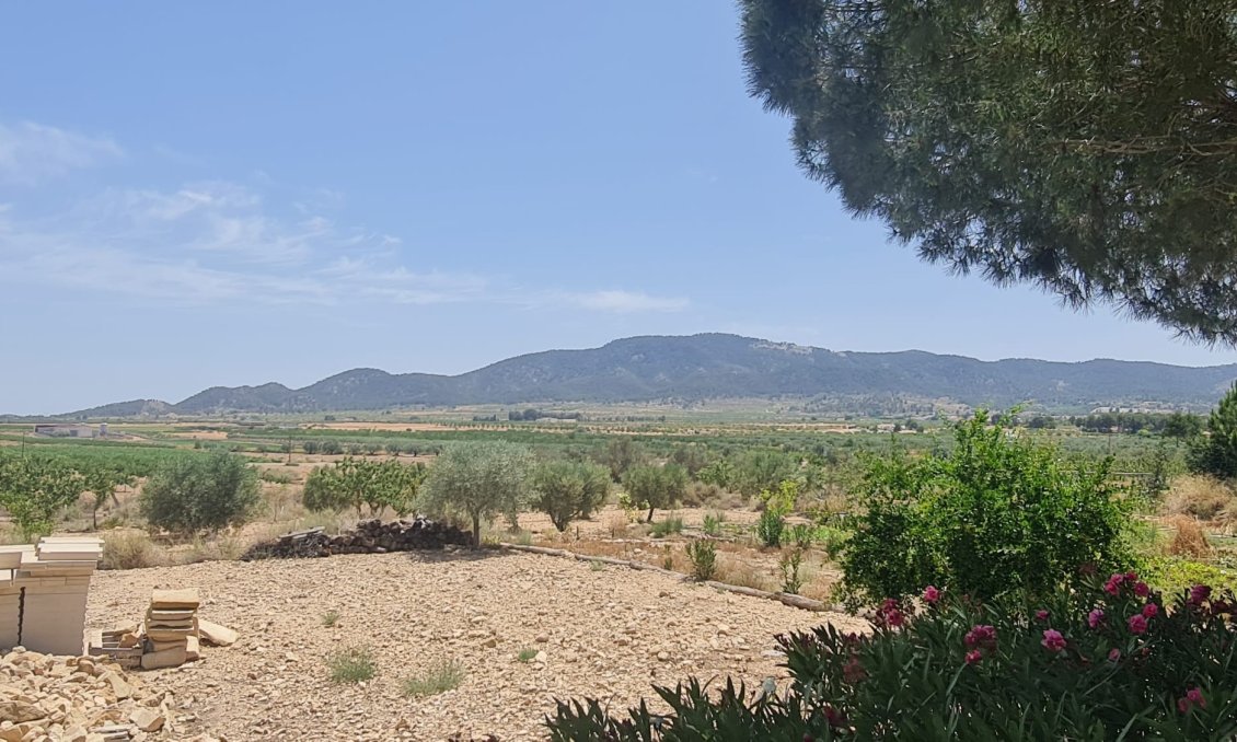 Segunda mano - Villa -
Chinorlet - Inland