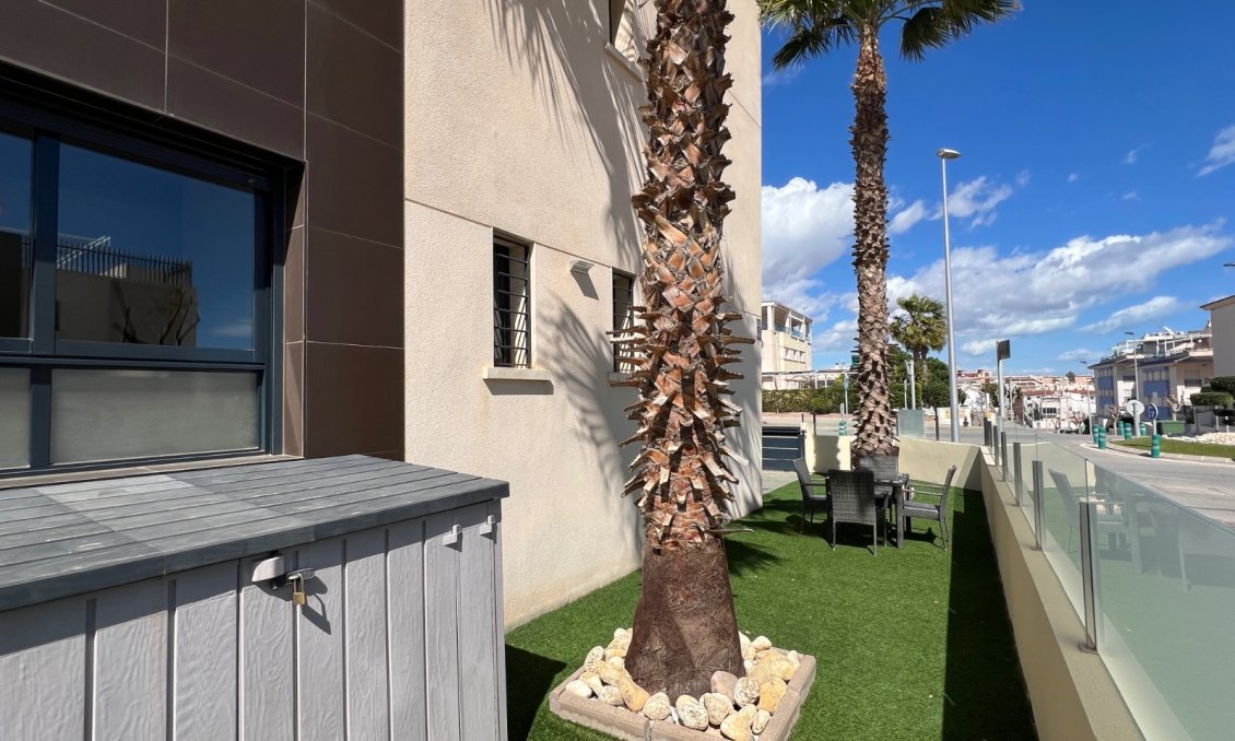 Segunda mano - Apartamento -
Pilar de la Horadada - Costa Blanca