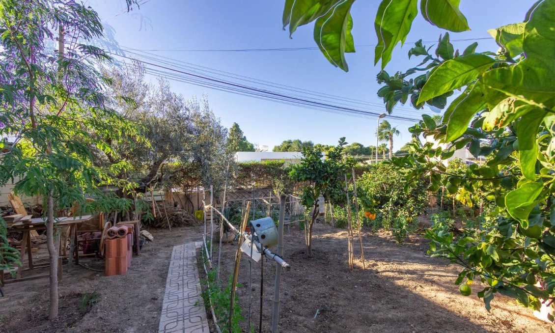 Segunda mano - Villa -
Torrevieja - Los Balcones