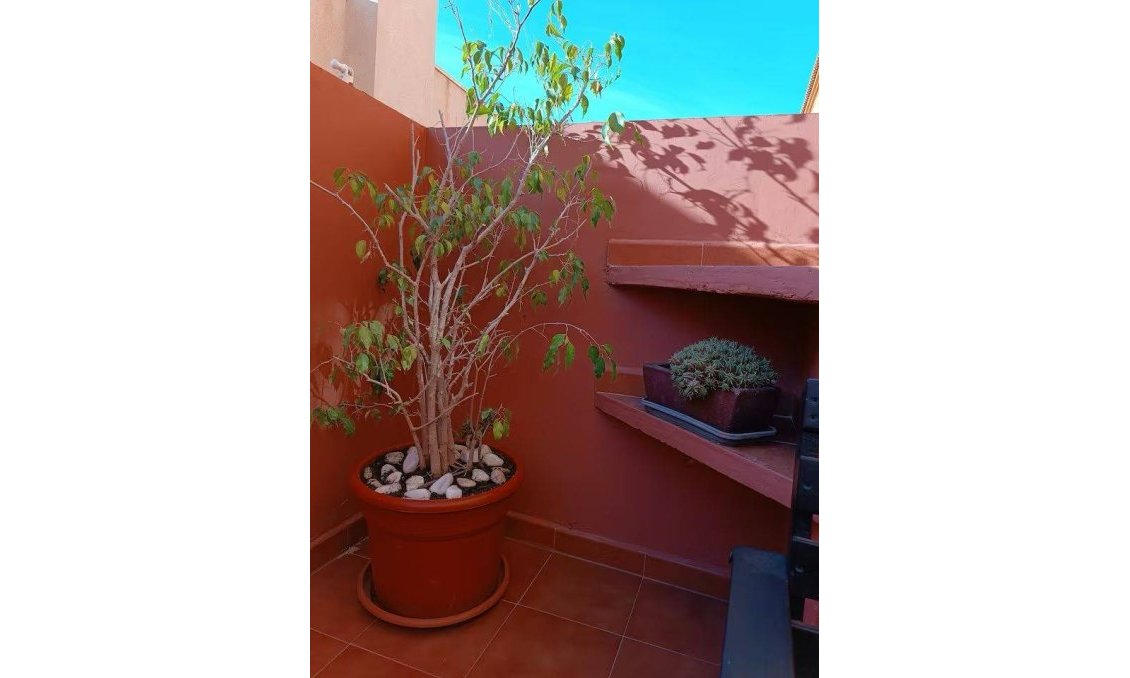Segunda mano - Town House -
Torrevieja - Aguas Nuevas