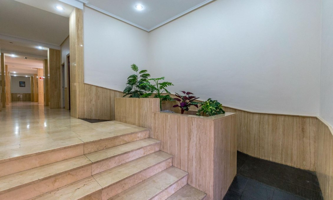 Segunda mano - Apartamento -
Torrevieja - Acequion