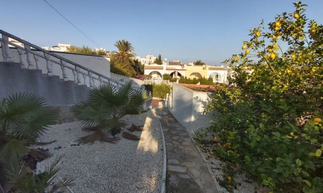 Segunda mano - Villa -
Torrevieja - Costa Blanca