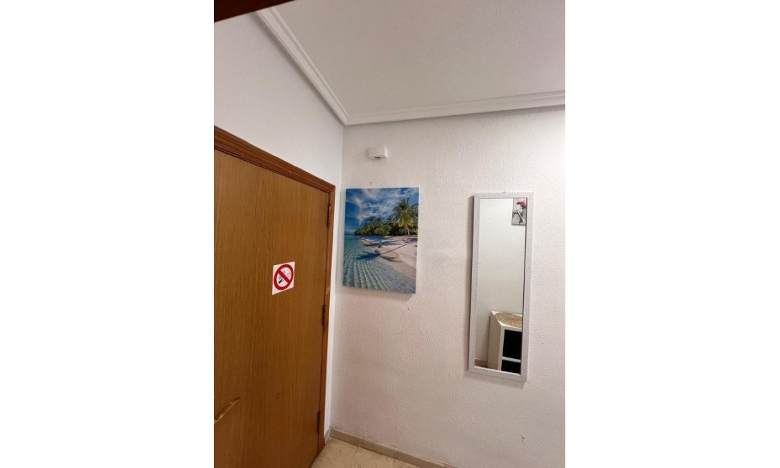 Segunda mano - Apartamento -
Torrevieja - Costa Blanca
