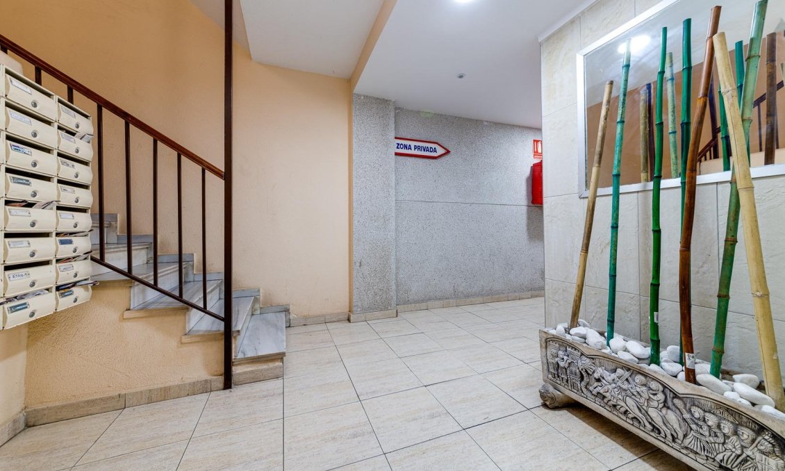 Segunda mano - Apartamento -
Torrevieja - Estacion De Autobuses