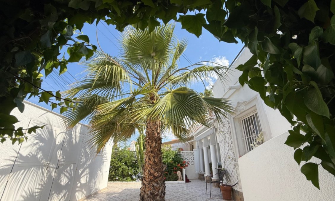 Segunda mano - Villa -
Torrevieja - Costa Blanca