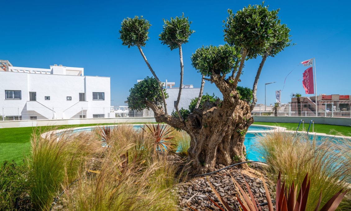 Segunda mano - Apartamento -
Torrevieja - Costa Blanca