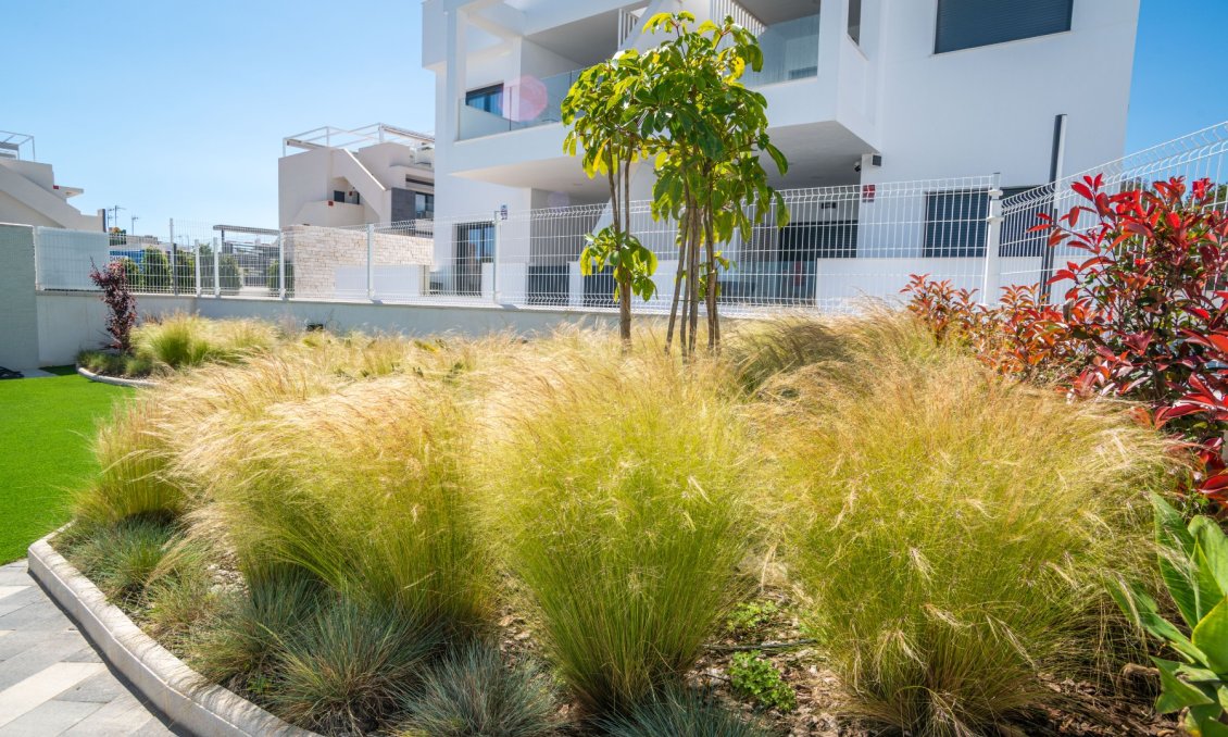 Segunda mano - Apartamento -
Torrevieja - Costa Blanca