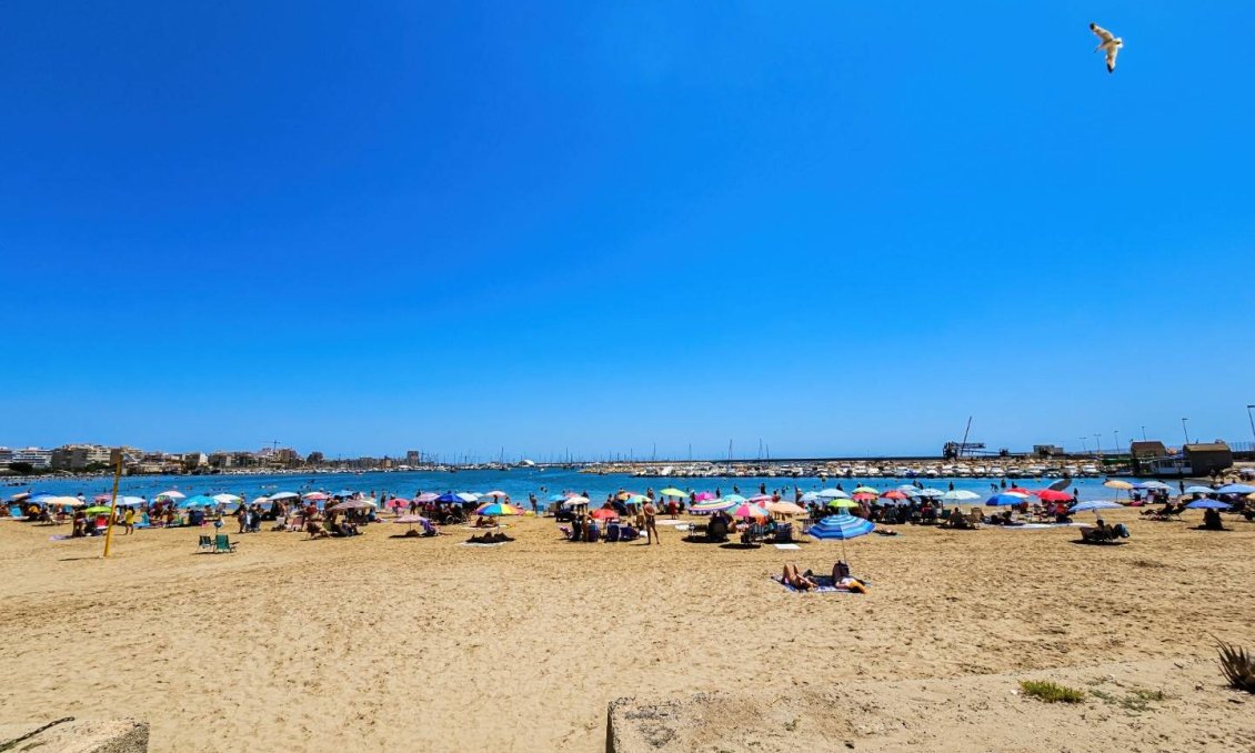 Wiederverkauf - Wohnung -
Torrevieja - Costa Blanca