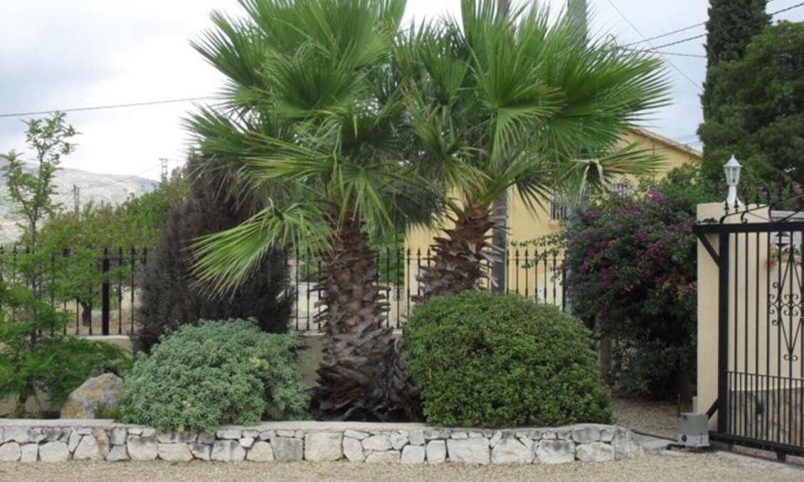 Segunda mano - Villa -
Jalón - Inland