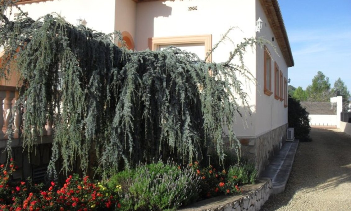 Segunda mano - Villa -
Jalón - Inland