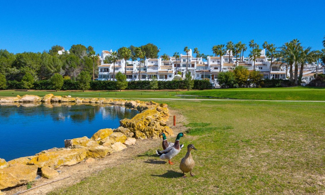 Segunda mano - Duplex -
Orihuela Costa - Las Filipinas
