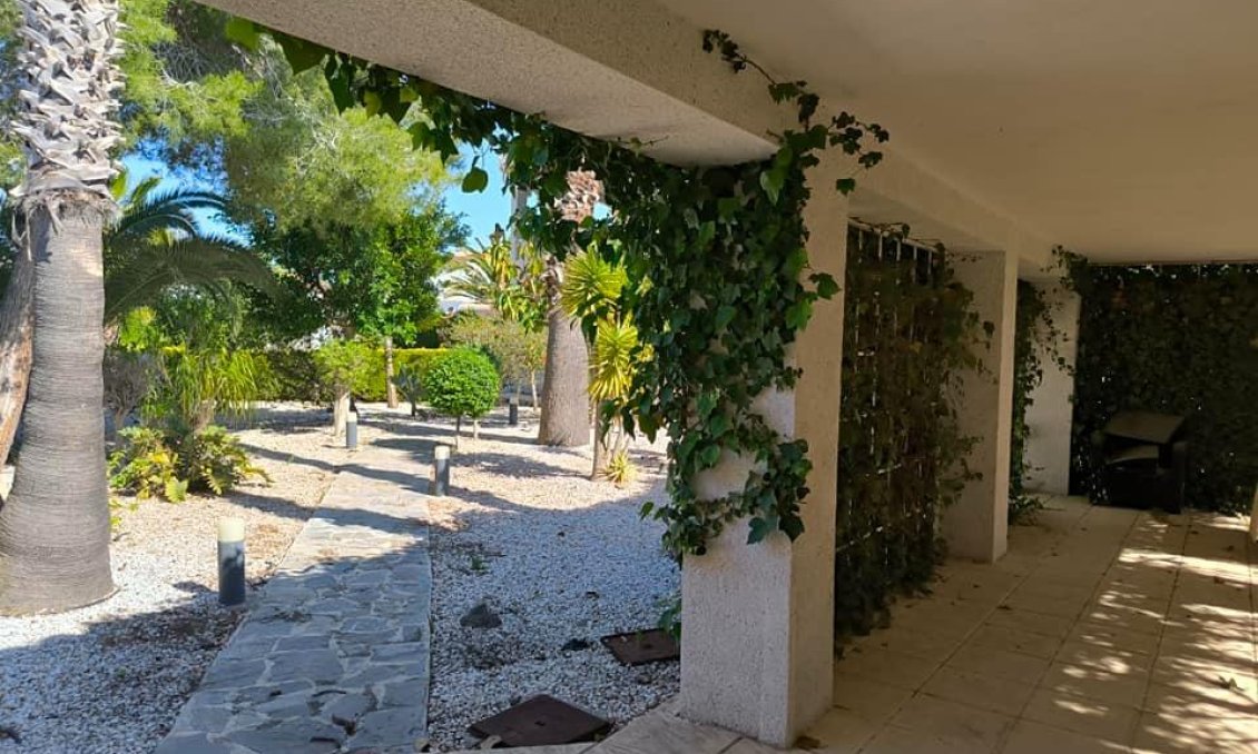 Segunda mano - Villa -
Torrevieja - La Siesta
