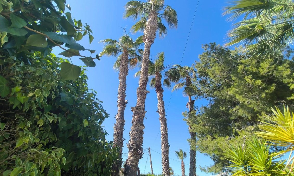 Segunda mano - Villa -
Torrevieja - La Siesta
