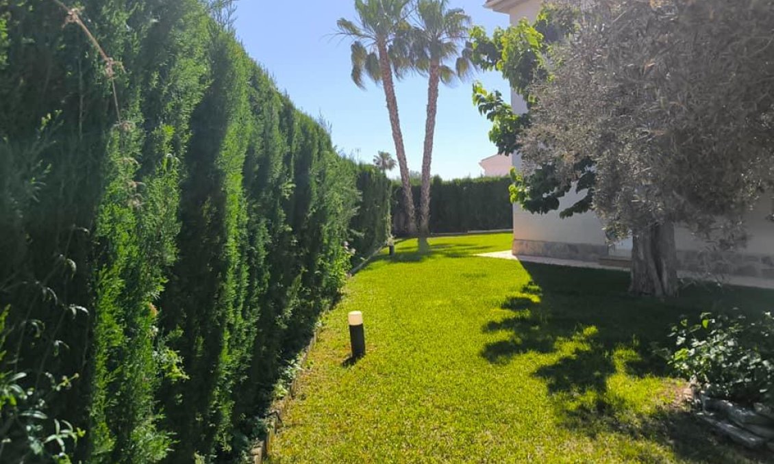 Segunda mano - Villa -
Torrevieja - La Siesta