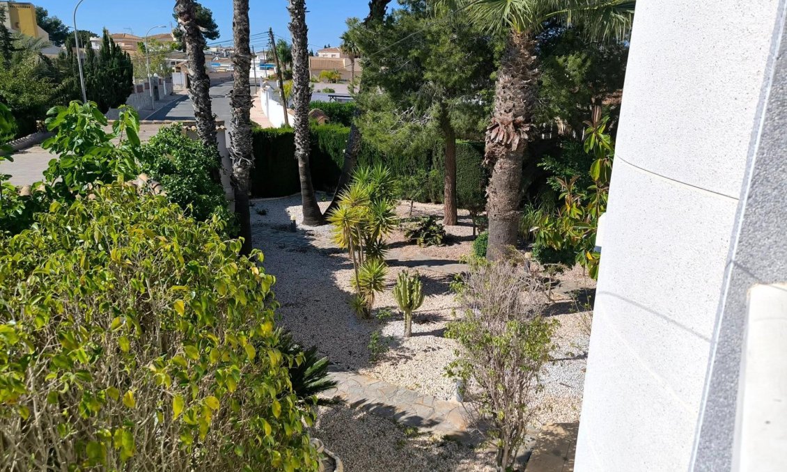 Segunda mano - Villa -
Torrevieja - La Siesta