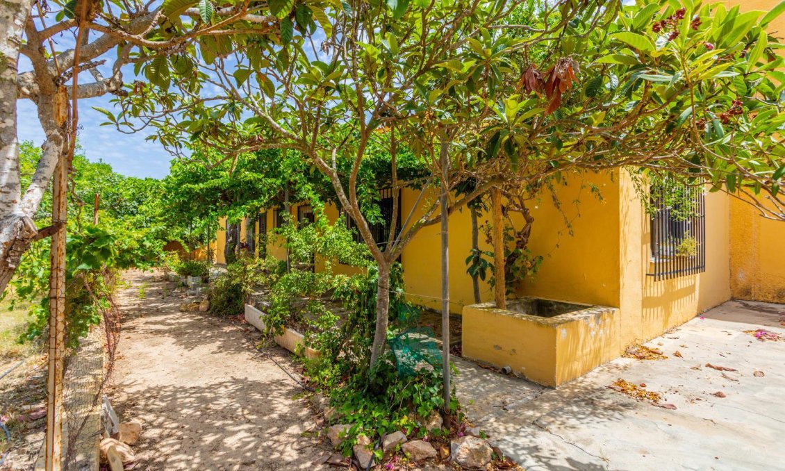 Segunda mano - Villa -
Los Montesinos - Costa Blanca