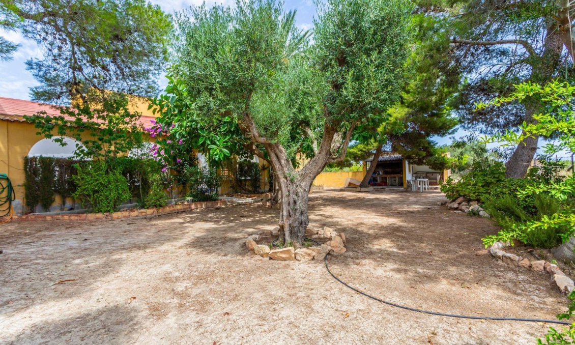 Segunda mano - Villa -
Los Montesinos - Costa Blanca