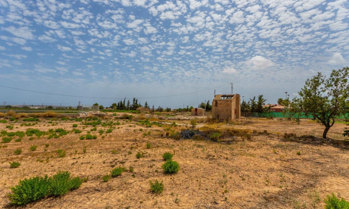 Segunda mano - Villa -
Los Montesinos - Costa Blanca
