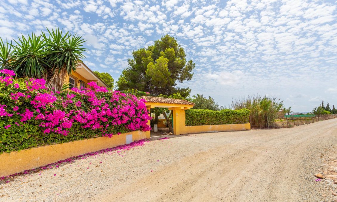 Segunda mano - Villa -
Los Montesinos - Costa Blanca