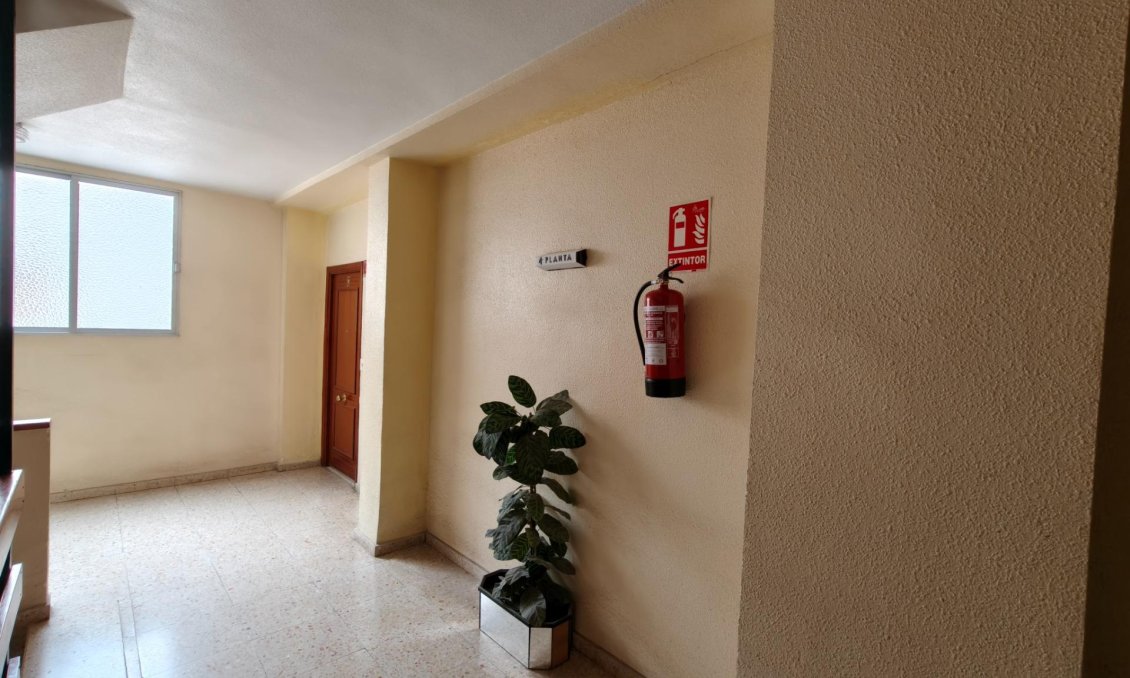 Segunda mano - Apartamento -
Torrevieja - Centro