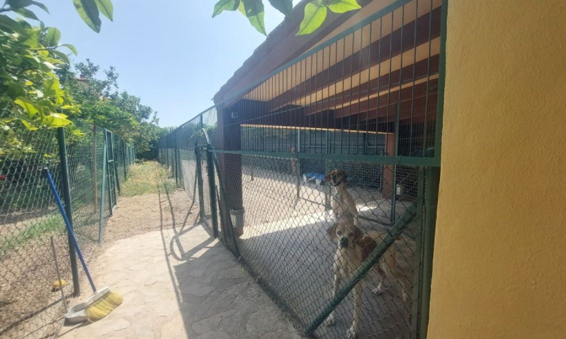 Segunda mano - Villa -
Albir - Costa Blanca