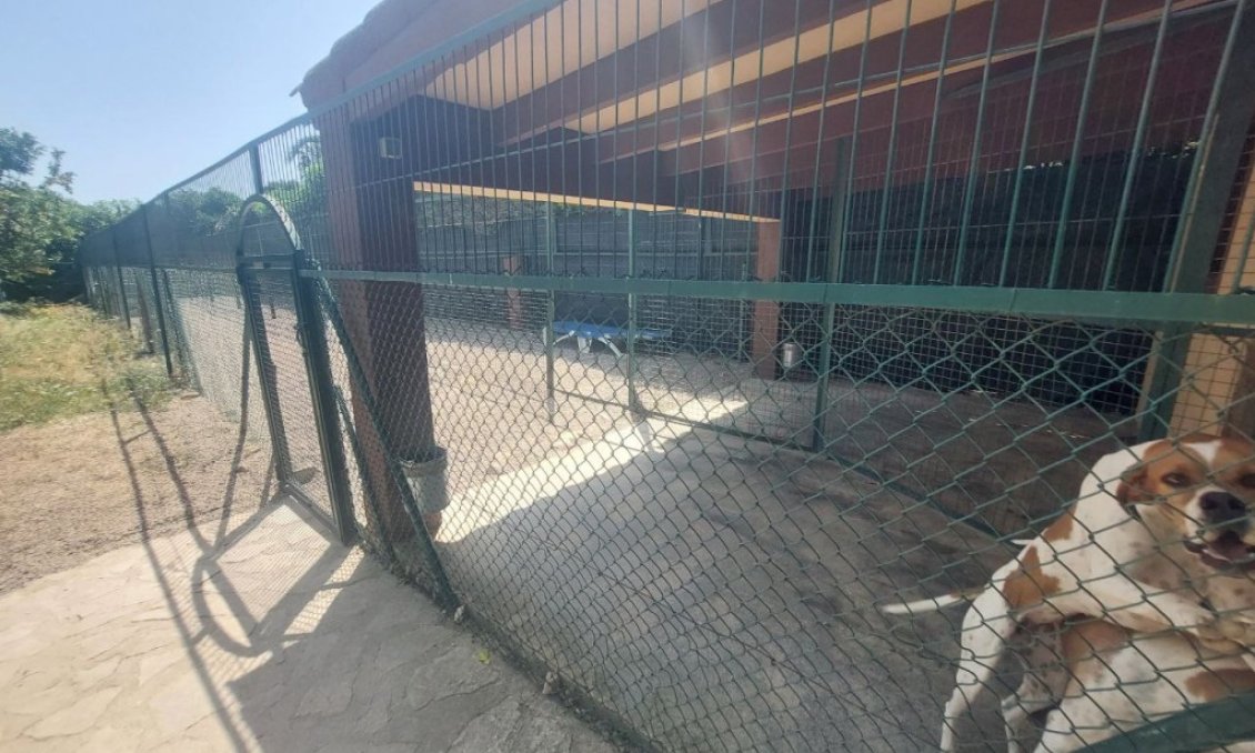 Segunda mano - Villa -
Albir - Costa Blanca