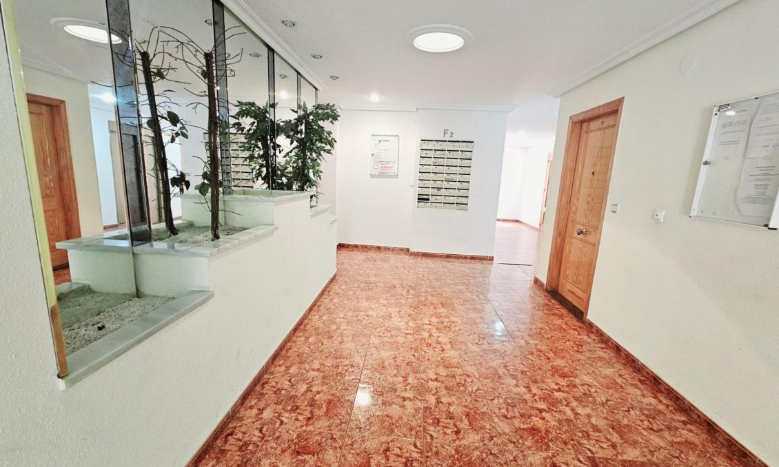 Segunda mano - Apartamento -
Torrevieja - Estacion De Autobuses