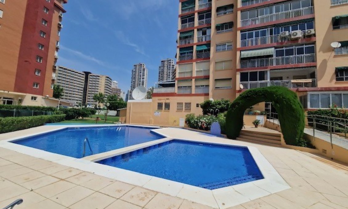 Segunda mano - Apartamento -
Benidorm - Costa Blanca