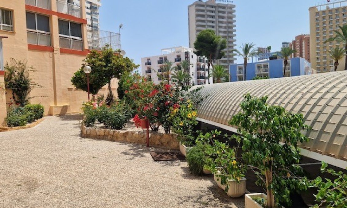 Segunda mano - Apartamento -
Benidorm - Costa Blanca