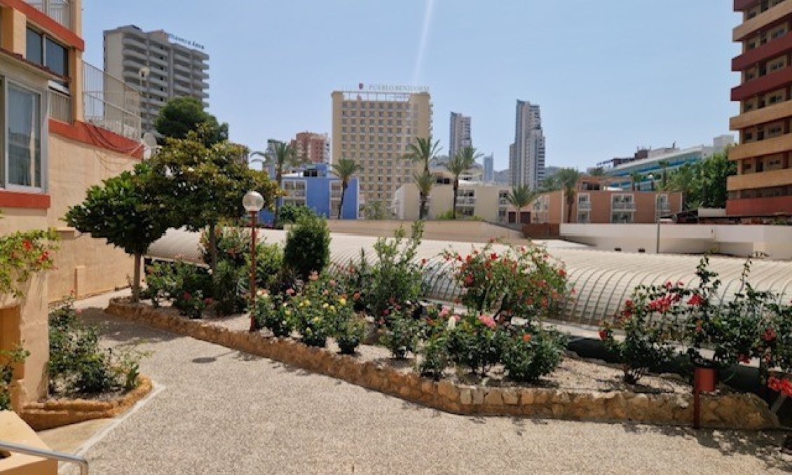 Segunda mano - Apartamento -
Benidorm - Costa Blanca