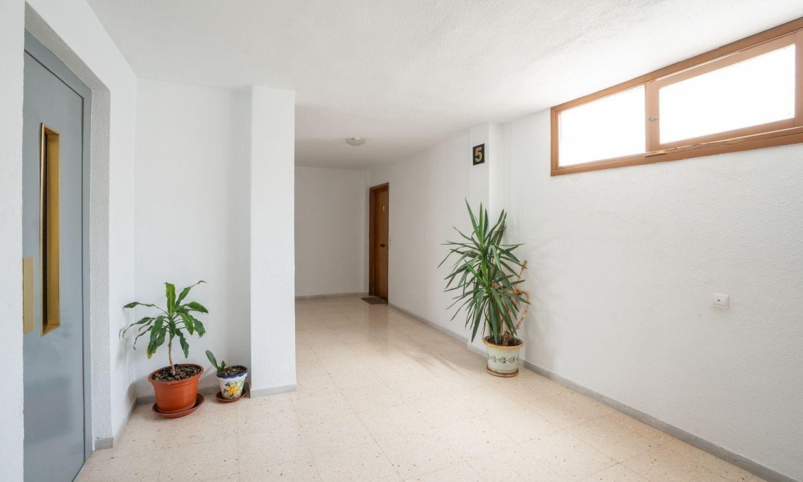 Wiederverkauf - Wohnung -
Torrevieja - Acequion