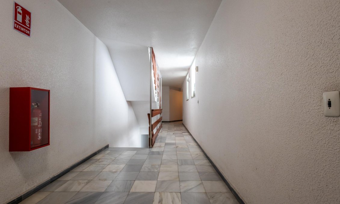 Segunda mano - Apartamento -
Torrevieja - Acequion
