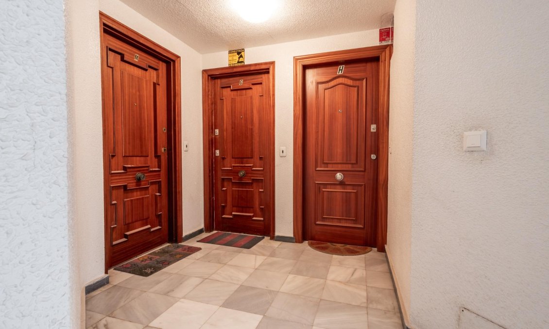 Segunda mano - Apartamento -
Torrevieja - Acequion