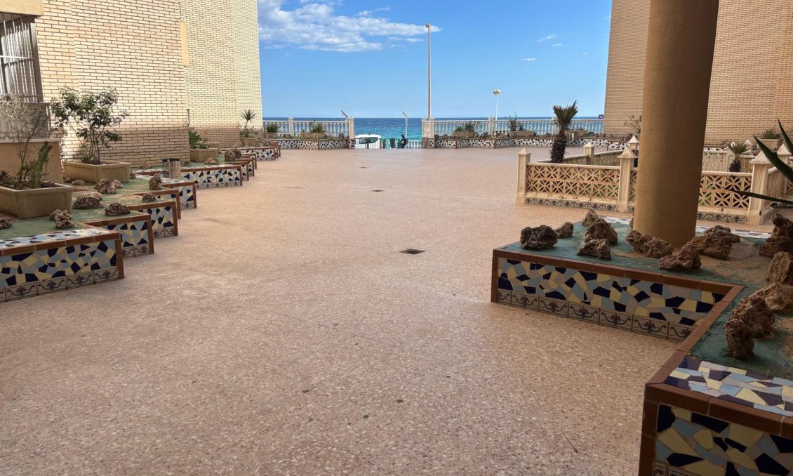 Segunda mano - Apartamento -
Torrevieja - Centro