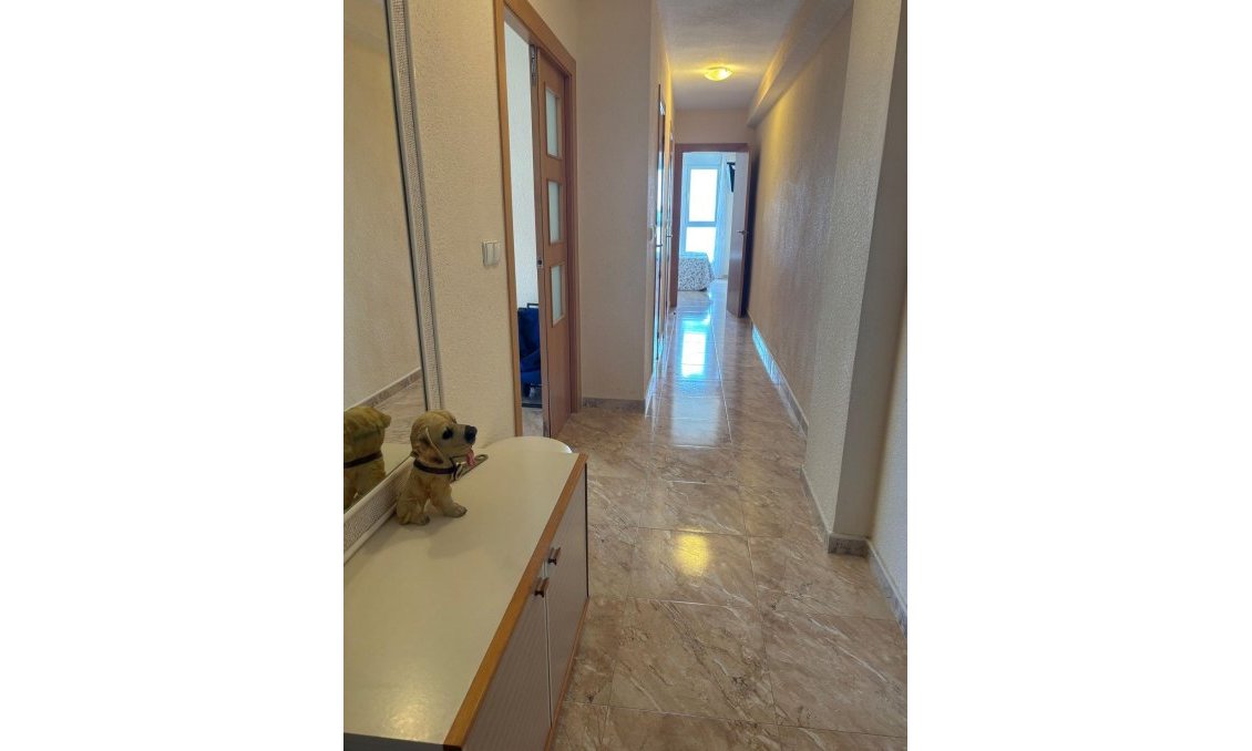 Segunda mano - Apartamento -
Torrevieja - Centro