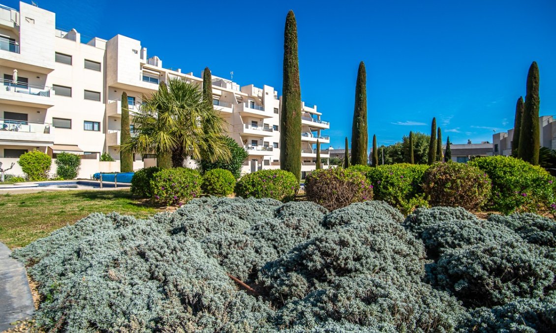 Segunda mano - Apartamento -
Orihuela Costa - Costa Blanca