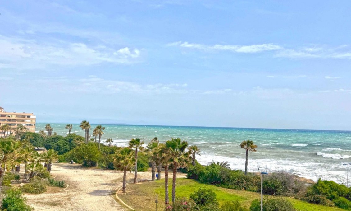 Segunda mano - Apartamento -
Torrevieja - Costa Blanca
