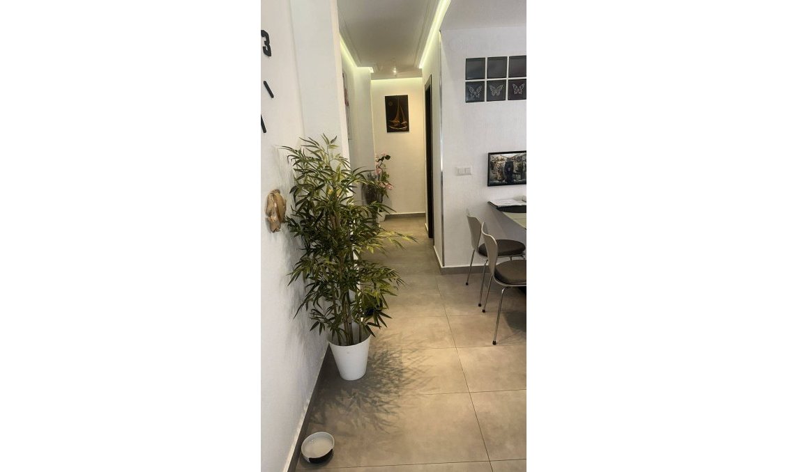 Segunda mano - Ático -
Torrevieja - Centro