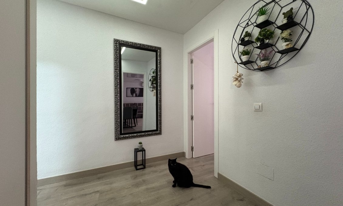 Segunda mano - Apartamento -
Torrevieja - Costa Blanca