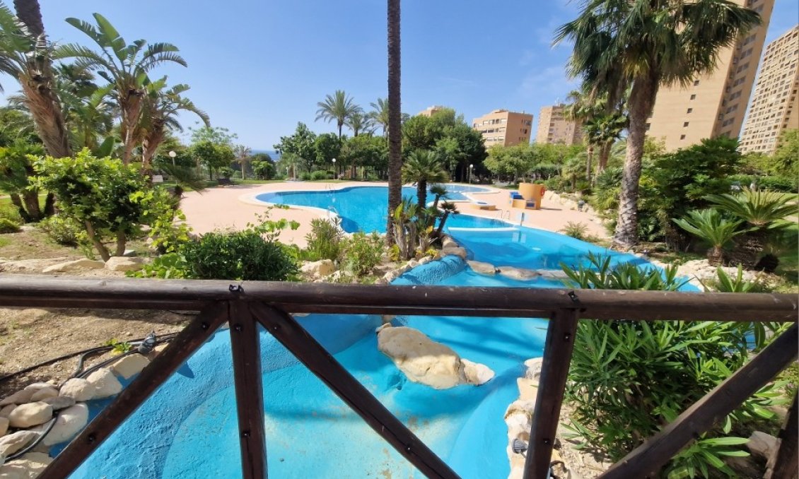 Segunda mano - Apartamento -
Benidorm - Costa Blanca