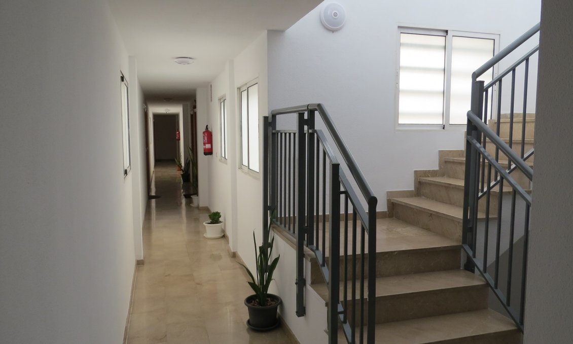 Segunda mano - Apartamento -
Almoradí - Inland