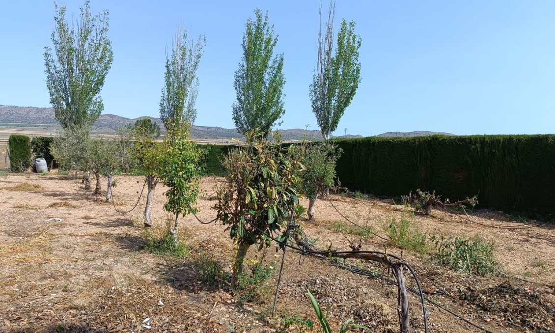 Revente - Villa -
Yecla - Inland