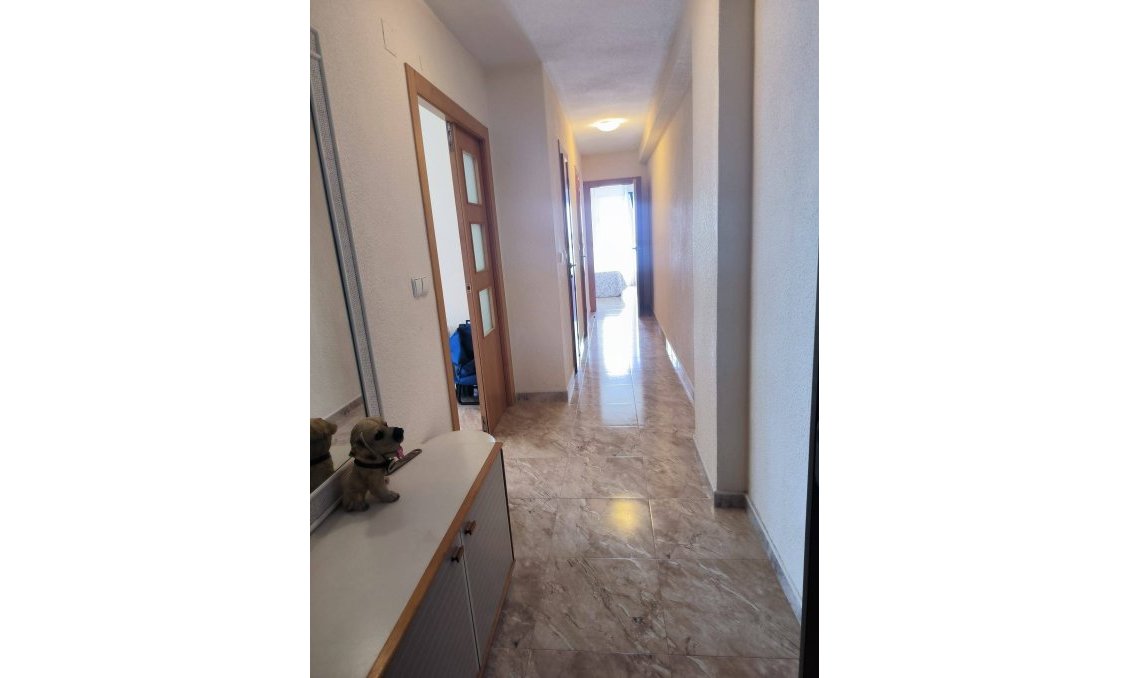 Használt Ingatlanok - Apartman -
Torrevieja - Centro