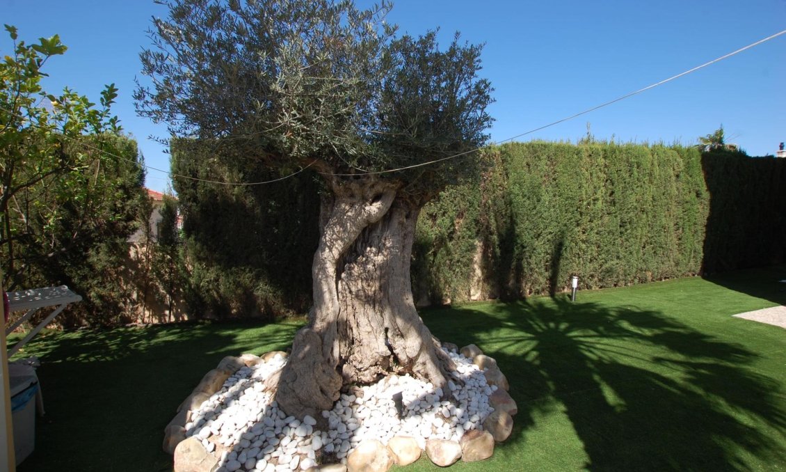 Segunda mano - Villa -
Ciudad Quesada - Costa Blanca