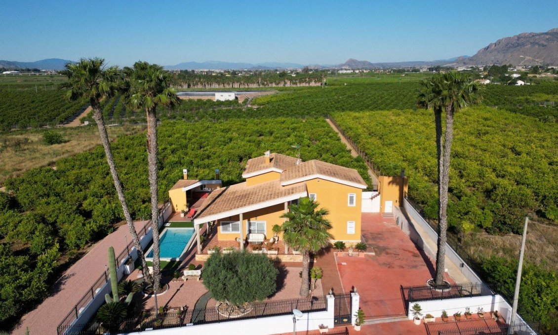 Segunda mano - Villa -
Orihuela - Orihuela Ciudad